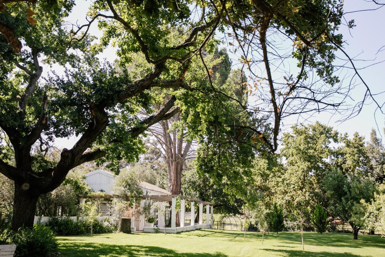 Montpellier De Tulbagh Ξενοδοχείο Εξωτερικό φωτογραφία